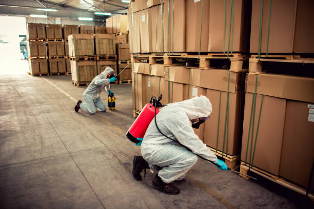 Best Emergency Pest Control  in Madison Heights, MI