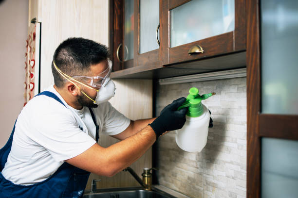 Madison Heights, MI Pest Control Company