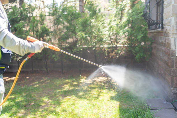 Best Local Pest Control Services  in Madison Heights, MI