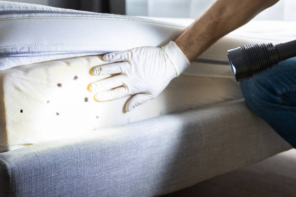 Best Wildlife Control Services  in Madison Heights, MI
