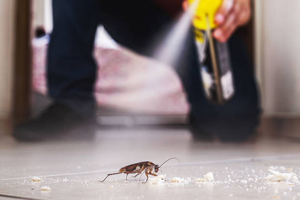 Best Pest Control Treatment  in Madison Heights, MI
