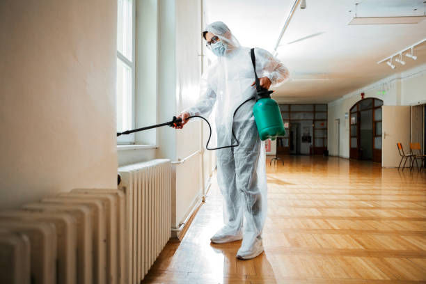 Best Rat Extermination Near Me  in Madison Heights, MI