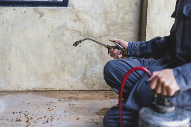 Best Pest Control Near Me  in Madison Heights, MI